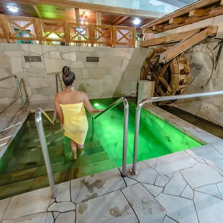 Thermal & Walliser Alpentherme Otel