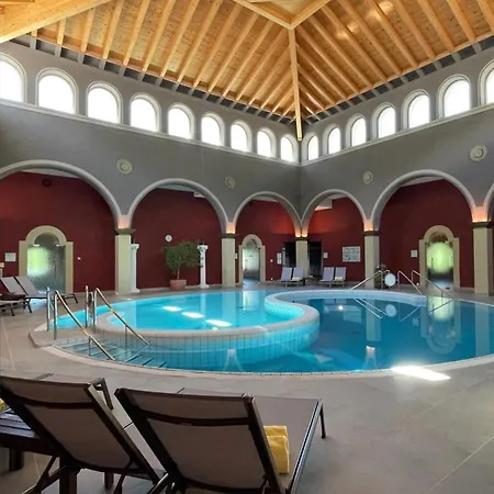 Otel Thermal & Walliser Alpentherme 3*