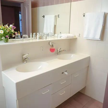 Thermal & Walliser Alpentherme Hotel