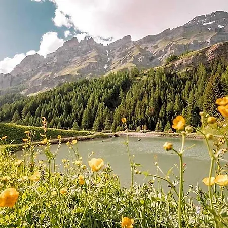 Hotel Thermal & Walliser Alpentherme