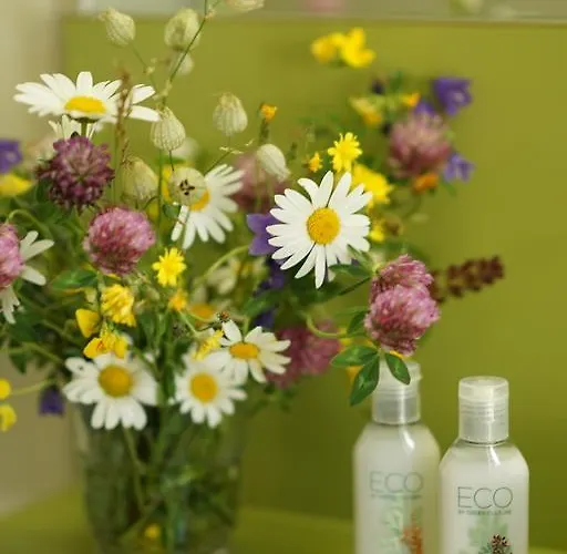 Thermal Hotels&walliser Alpentherme Leukerbad