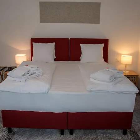 Отель Thermal & Walliser Alpentherme 3*