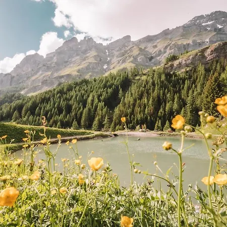 Отель Thermal & Walliser Alpentherme Лойкербад